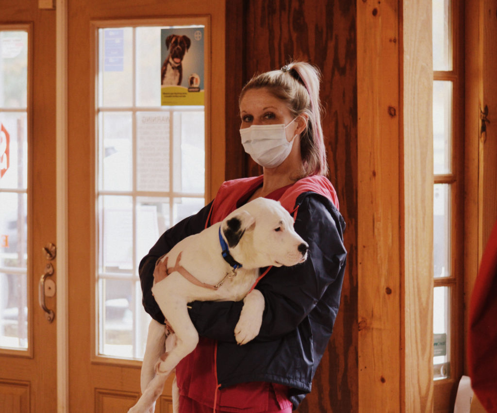 Veterinarian in Jefferson, GA | Shannon Veterinary Services