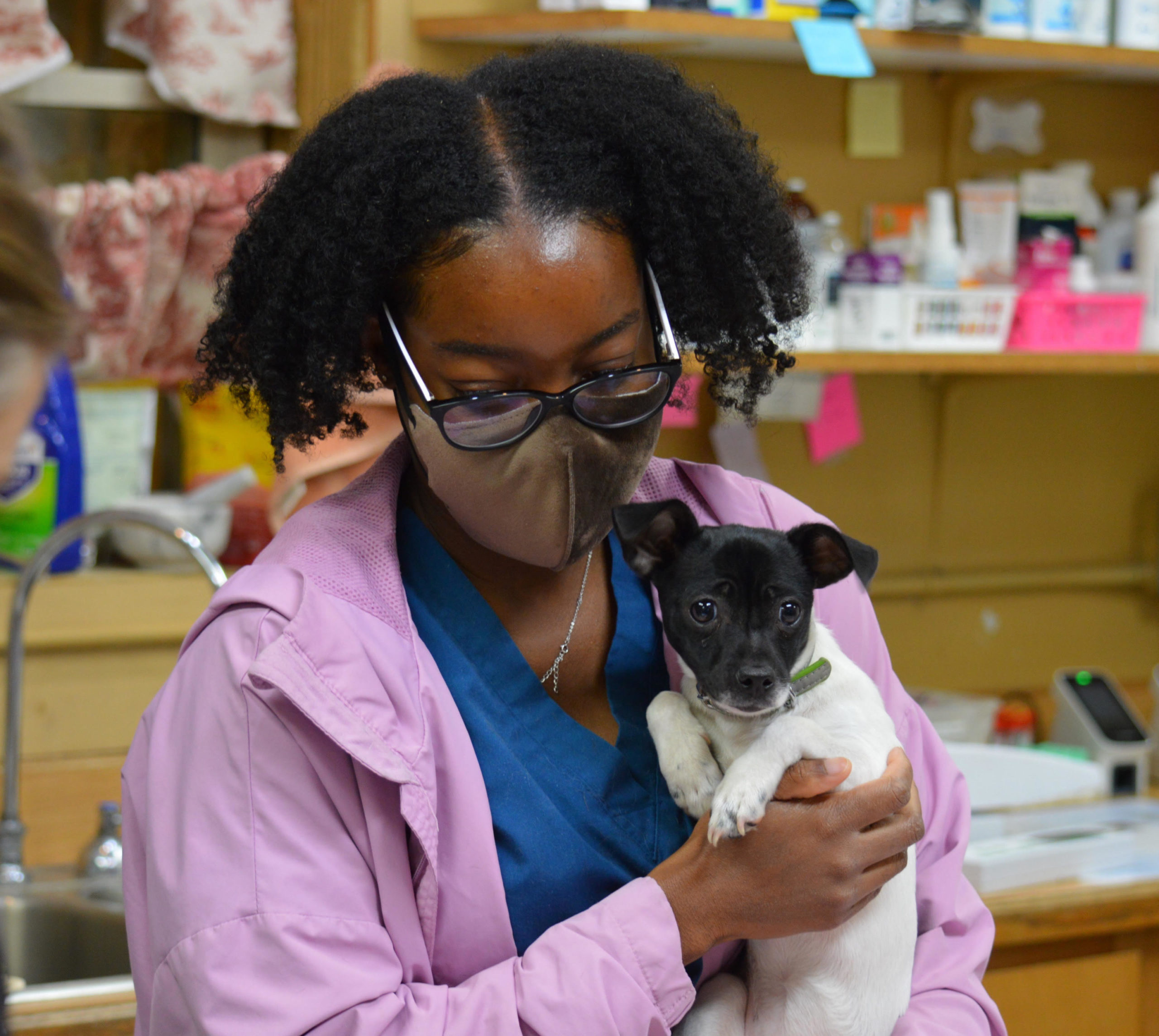 Veterinarian in Jefferson, GA | Shannon Veterinary Services
